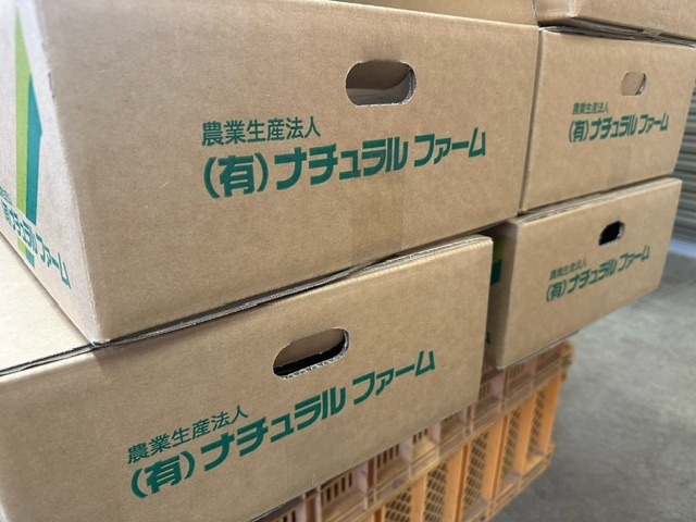 有限会社ナチュラルファーム｜あおもり農福連携プロジェクト｜農業と